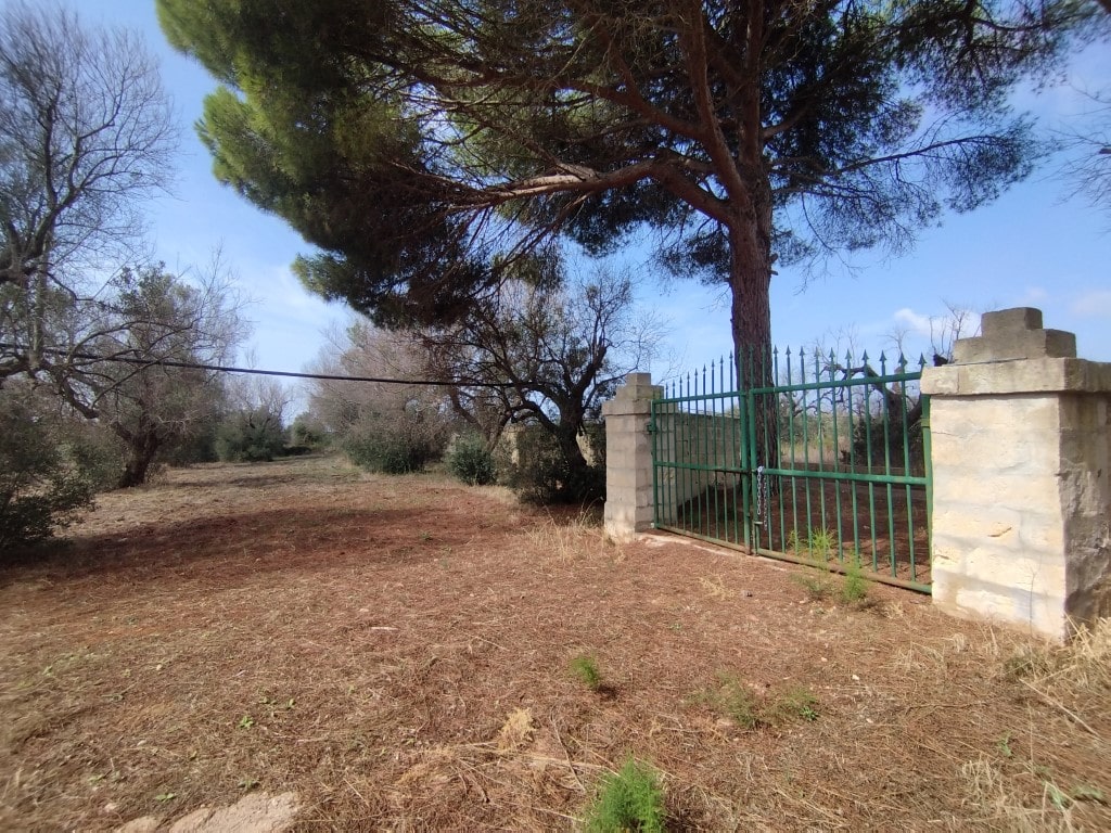 Giano Group Immobiliare
